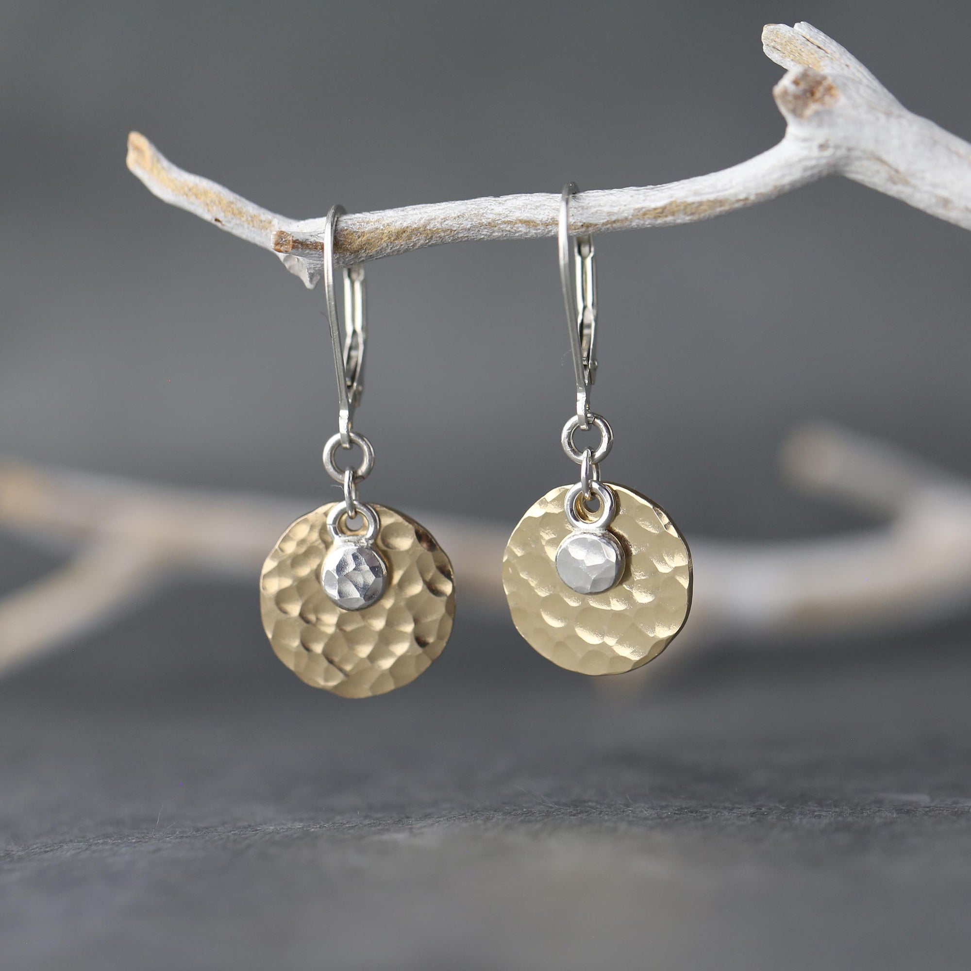 Mixed Metal Disc &amp; Dot Earrings