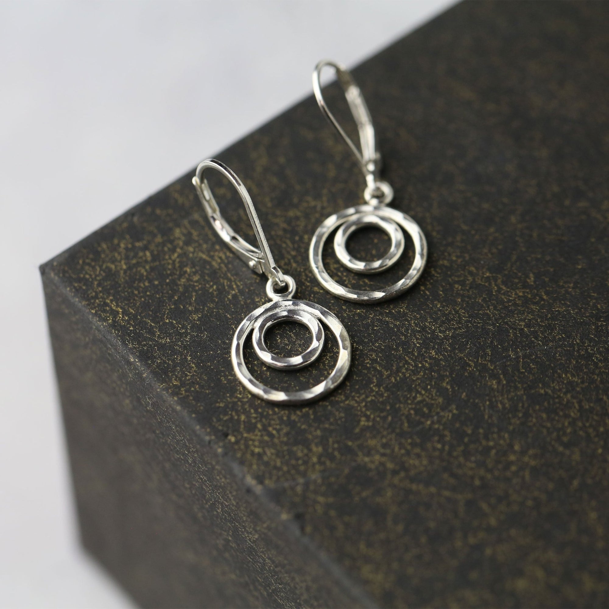Silver Double Circles Jewelry Set